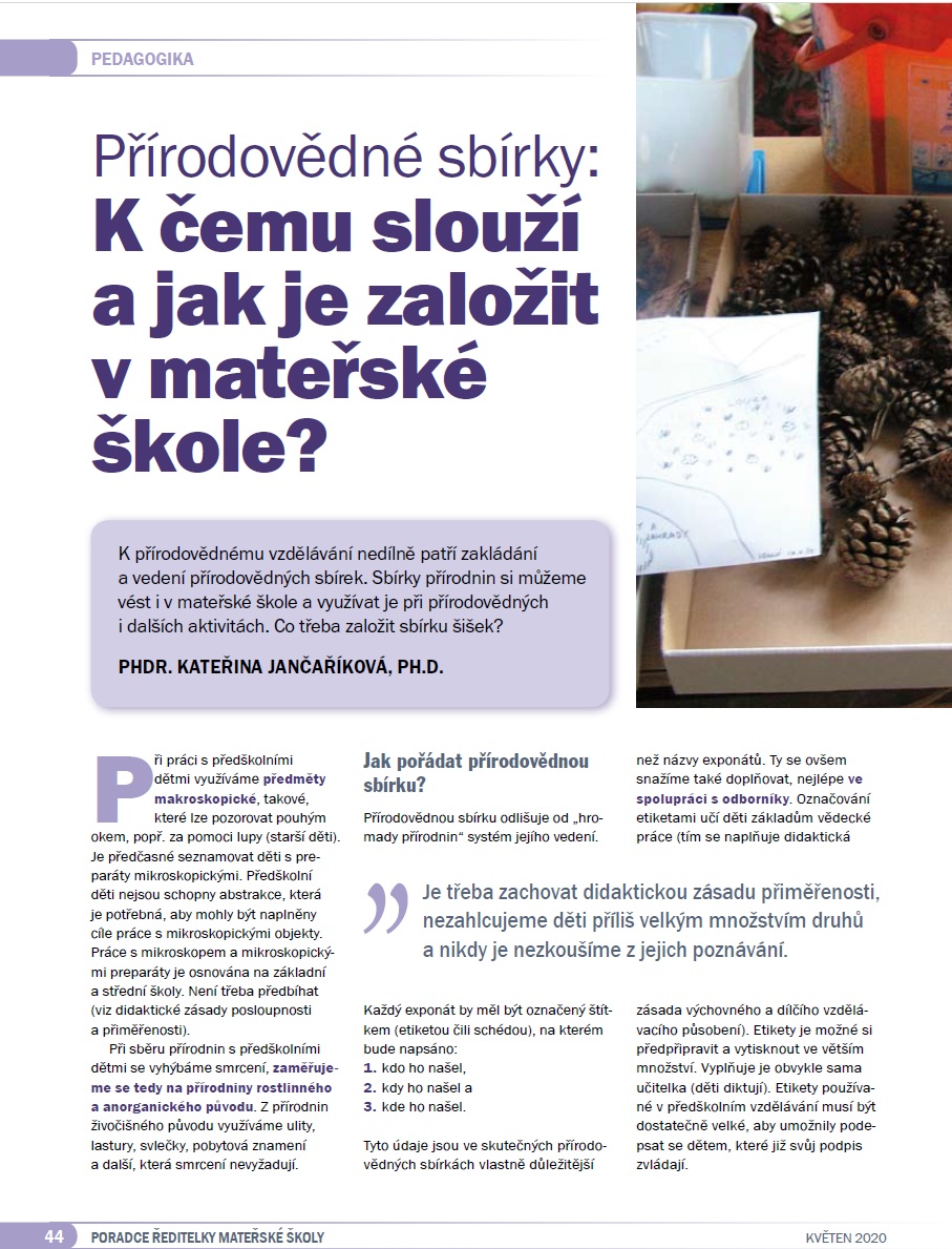 Přírodovědné sbírky: K čemu slouží a jak je založit v mateřské škole