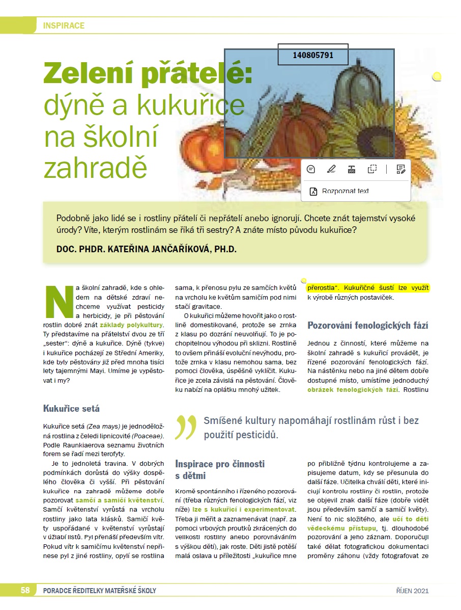 Zelení přátelé: dýně a kukuřice na školní zahradě