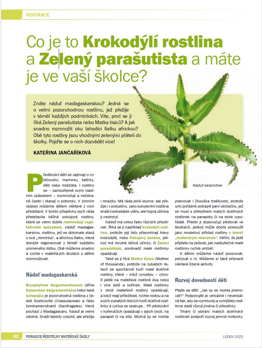 Co je to Krokodýlí rostlina a Zelený parašutista a máte je ve vaší školce?